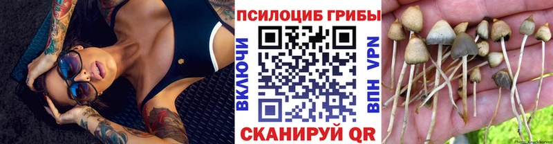 даркнет какой сайт  Андреаполь  Галлюциногенные грибы MAGIC MUSHROOMS 